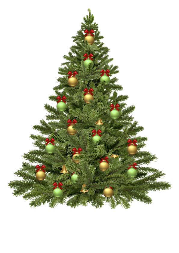 Image of Christmas Tree
