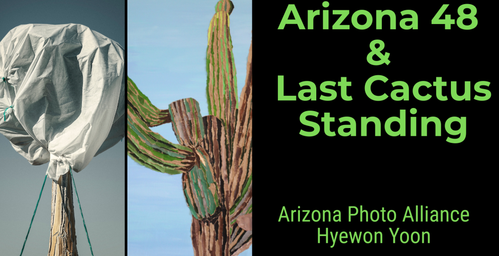 Opening receptions for two new exhibits in the Eric Fischl Art Gallery: Arizona 48 and Last Cactus Standing
