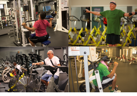 A variety of cardio, circuit, and weight equipment is offered in the Phoenix College Fitness Center for participants in the Body Transformation Program to utilize. 