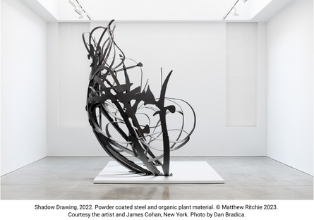 Shadow Drawing, 2022. Powder coated steel and organic plant material. © Matthew Ritchie 2023.  Courtesy the artist and James Cohan, New York. Photo by Dan Bradica.