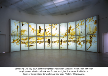 Something Like Day, 2004. Lenticular lightbox installation: Duratrans mounted on lenticular  acrylic panels, aluminum frame, and fluorescent lights. © Matthew Ritchie 2023.  Courtesy the artist and James Cohan, New York. Photo by Shigeo Auzai. 