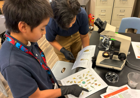 Maryvale Students study under microscope