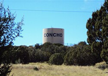 Picture of Concho water tower with a row of trees in front of the tower and on the side.  