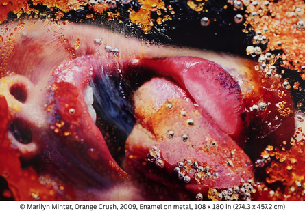 Artwork by Marilyn Minter: Orange Crush, 2009, enamel on metal, show a face sideways with mouth in red lipstick with mouth open and tongue reaching out. 