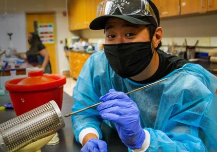 Microbiology student Daniel Kwon sterilizes instruments for a lab, led by instructor Robin Cotter