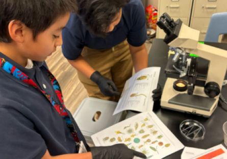 Maryvale Students study under microscope
