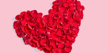 A seminar centered on student wellness