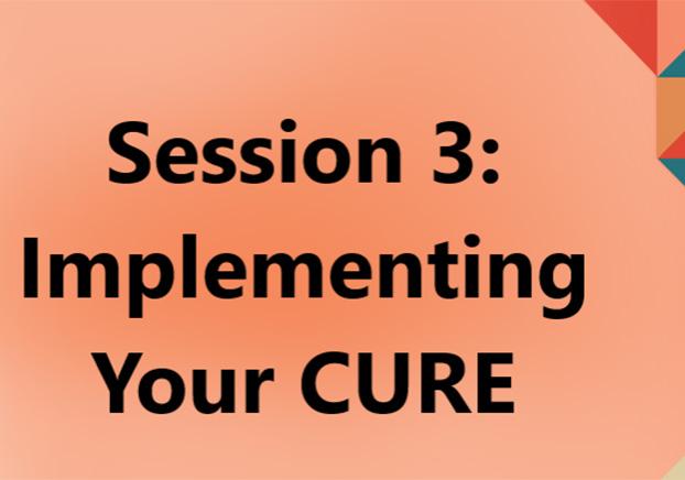 CURES 2022 - Session Three